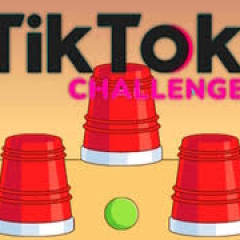 TikTok Challenge